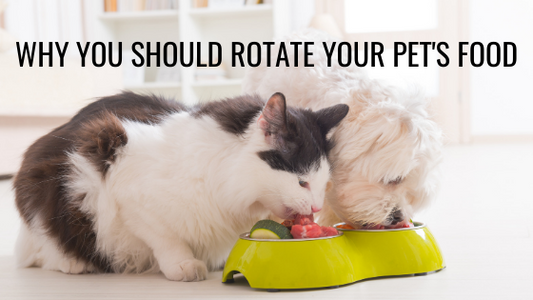 Rotation & Variety in your Pet's Diet