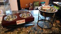 Why Get an Elevated Diner For Your Dog?