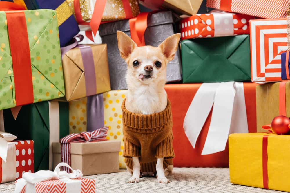 Unleashing Holiday Cheer  Dog Christmas Presents