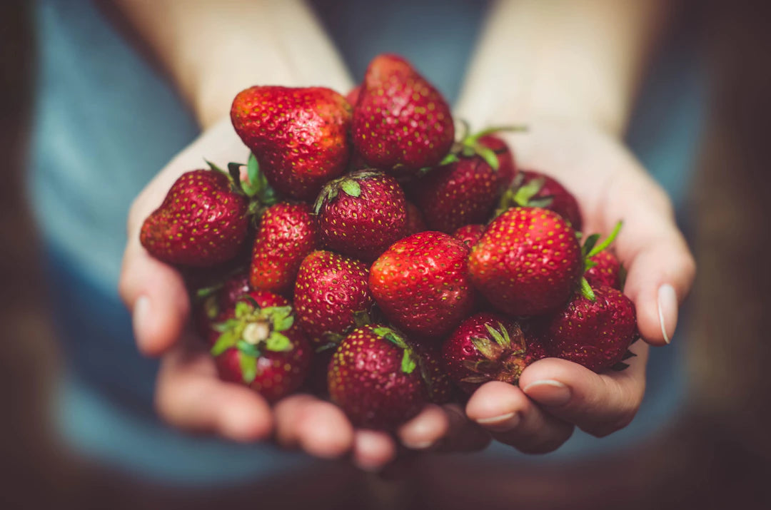 Unlocking the Secrets of Fiber for Your Pet's Health