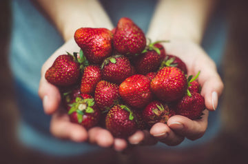 Unlocking the Secrets of Fiber for Your Pet's Health