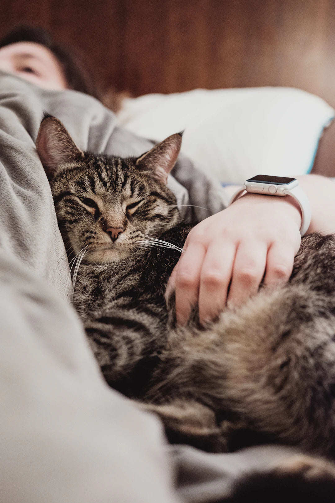 The Essential Role of Protein in Your Pet's Diet: Unlocking the Secrets to Canine and Feline Nutrition