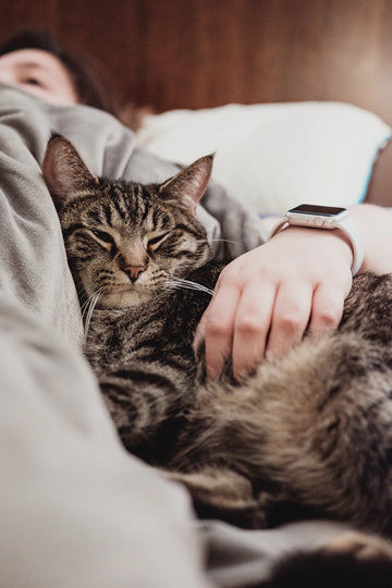 The Essential Role of Protein in Your Pet's Diet: Unlocking the Secrets to Canine and Feline Nutrition
