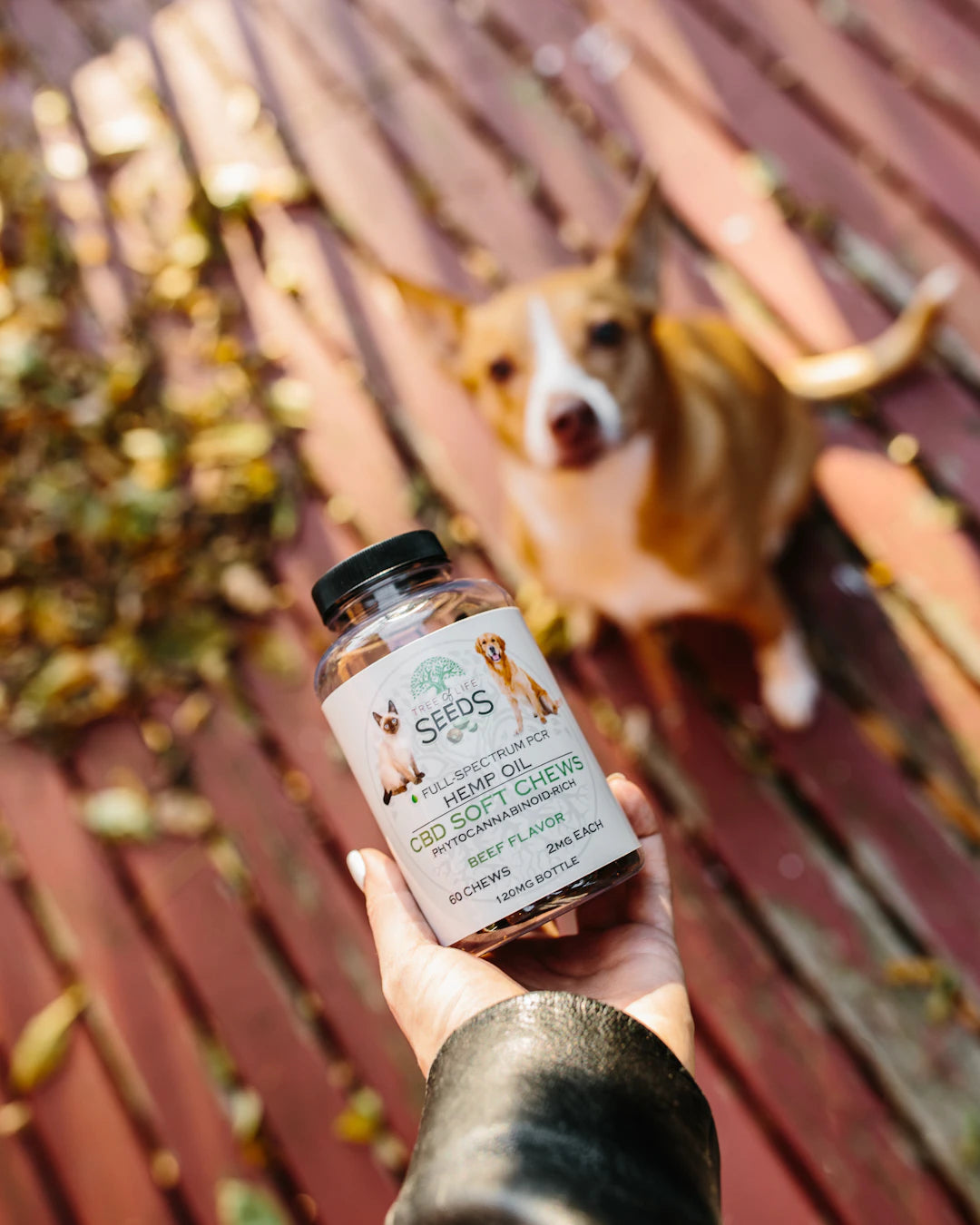 Enhance Your Dog's Health with Natural Supplements
