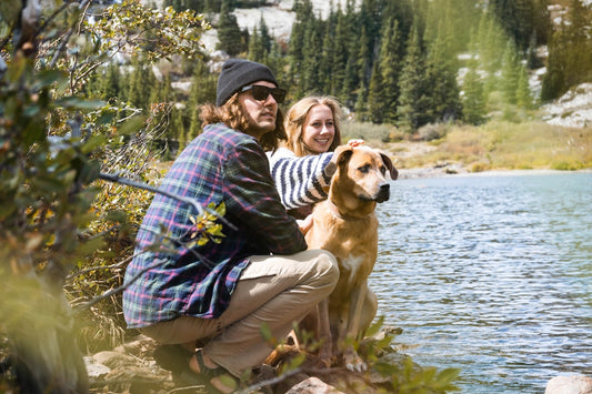 Unleash Adventure: Exploring Dog-Friendly Hiking Trails