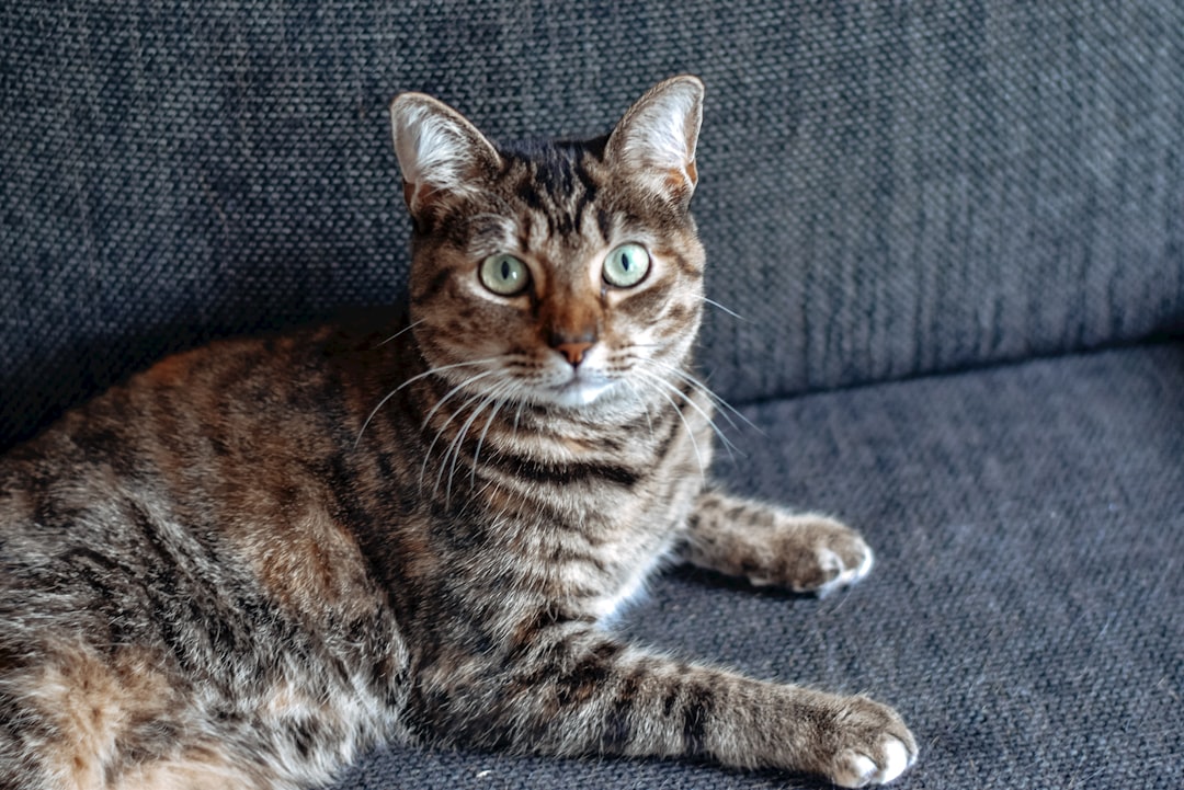 The Science Behind Pet Food Labels