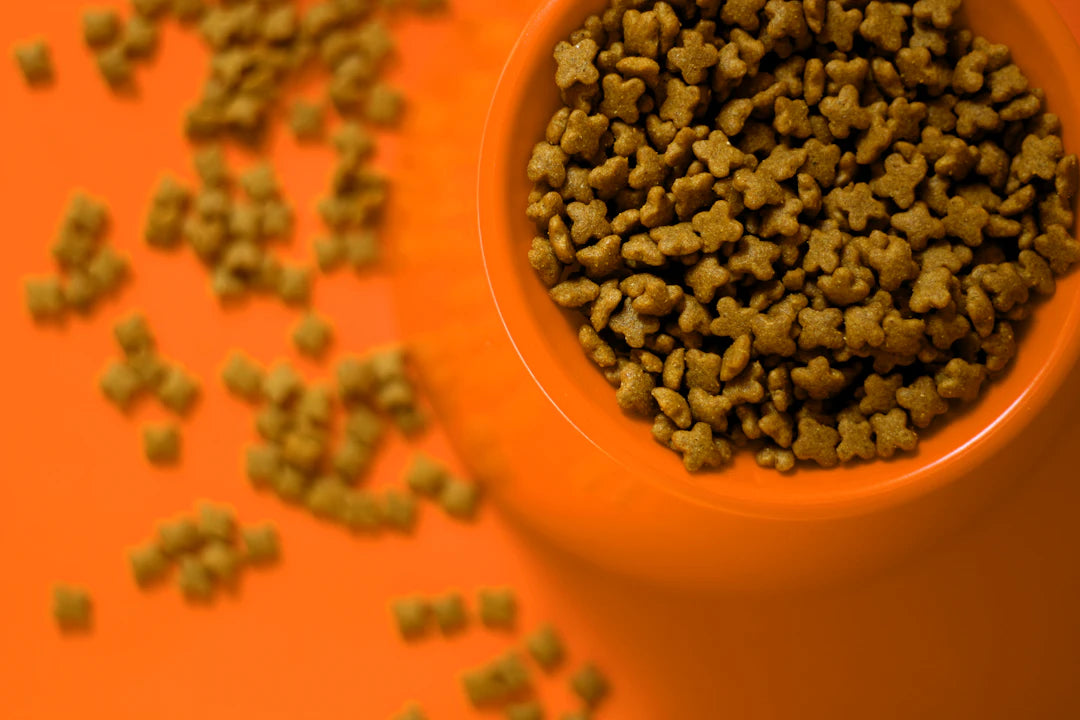 The Link Between Diet and Pet Behavior Unveiled
