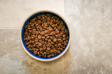 Wholesome Homemade Meals Safe Recipes for Your Pets