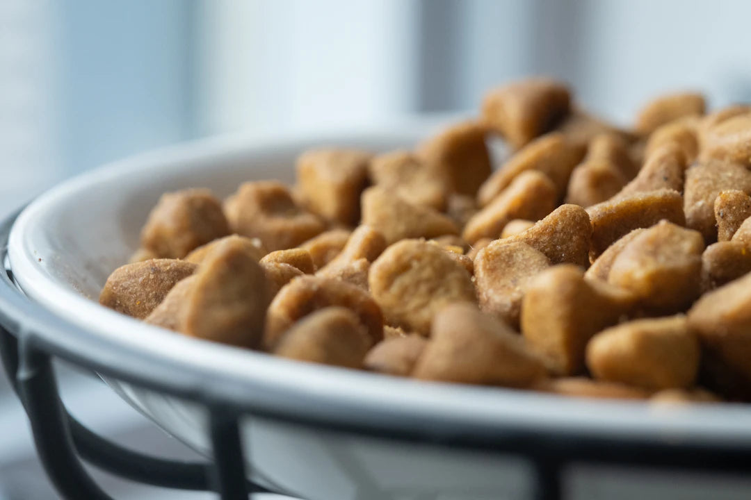 The Crucial Role of Protein in Your Pet's Diet