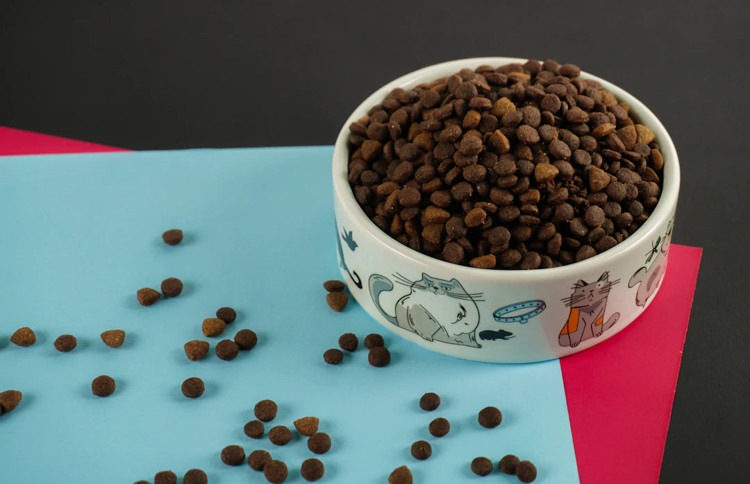 Grain-Free Dry Dog Foods for Every Life Stage