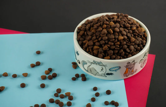 Grain-Free Dry Dog Foods for Every Life Stage