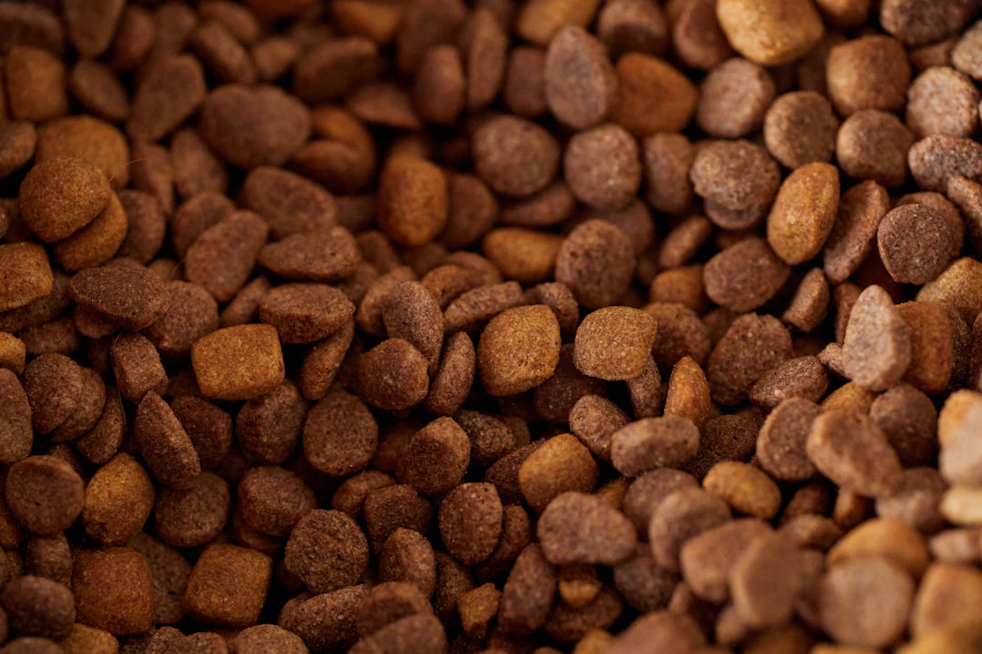 The Role of Protein in Your Pet's Diet