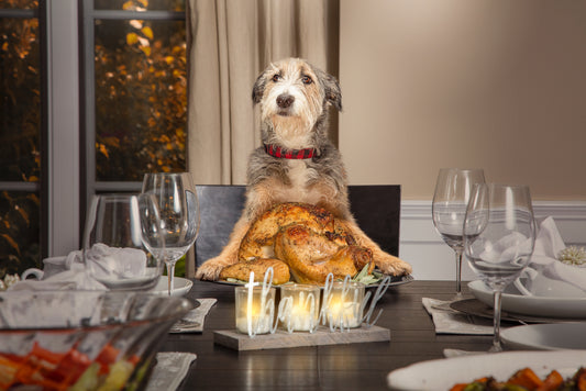 Christmas Dinner with your Pet