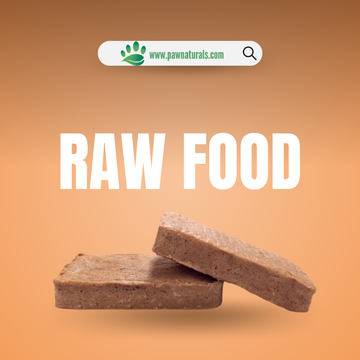 Why We Love the Raw Diet