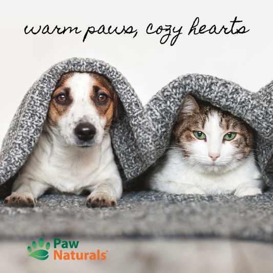 Warm Paws, Cozy Hearts: Embracing Winter at Paw Naturals in Chicago