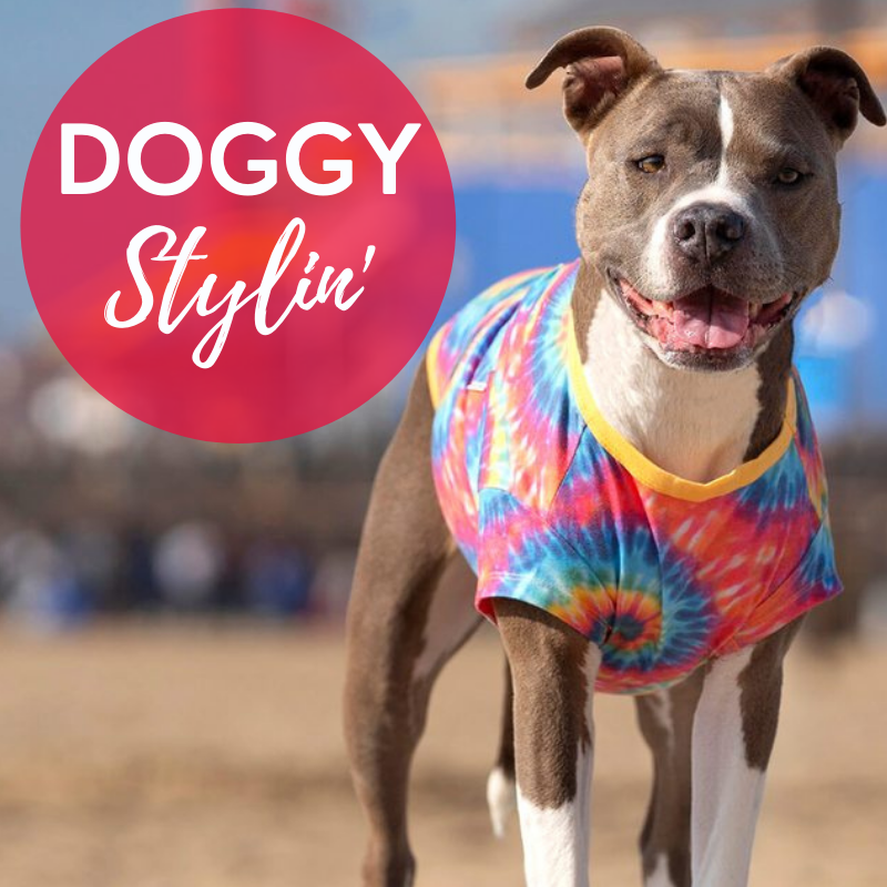 Doggy Stylin'