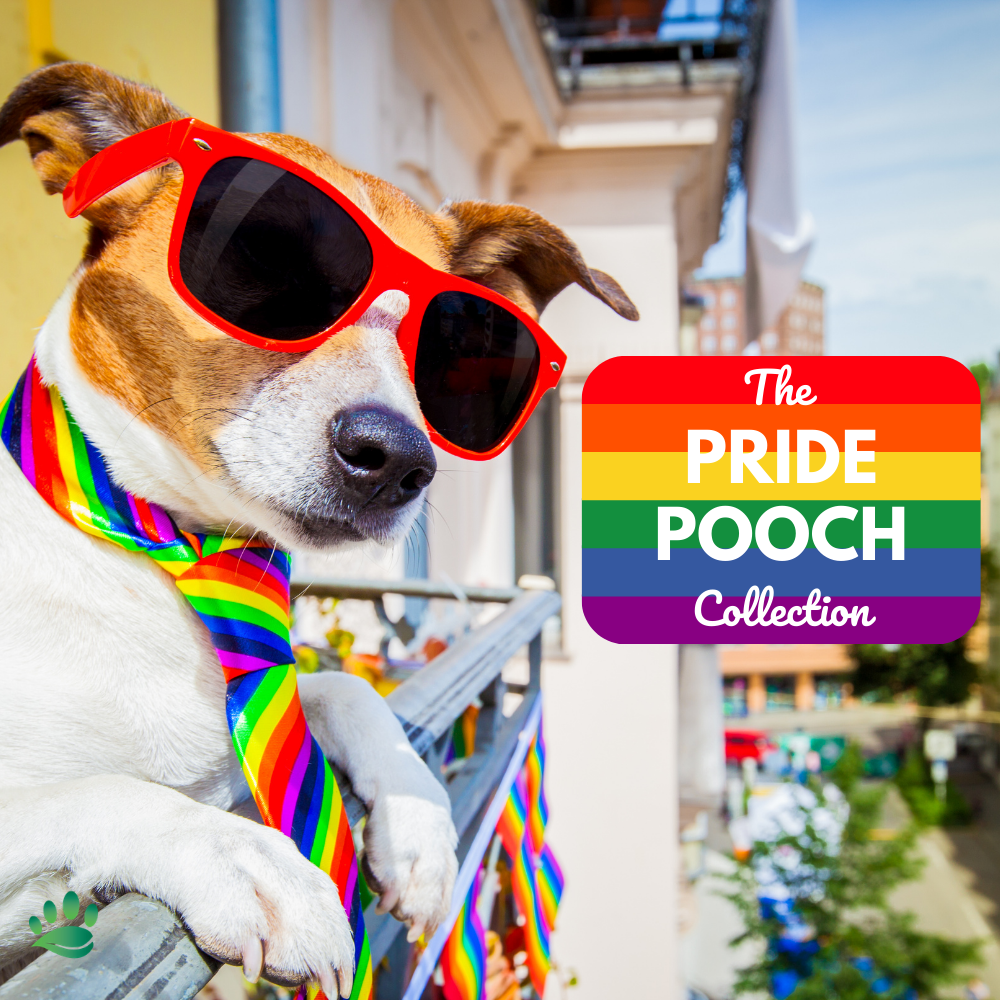 Pride Pooch