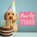 Birthday