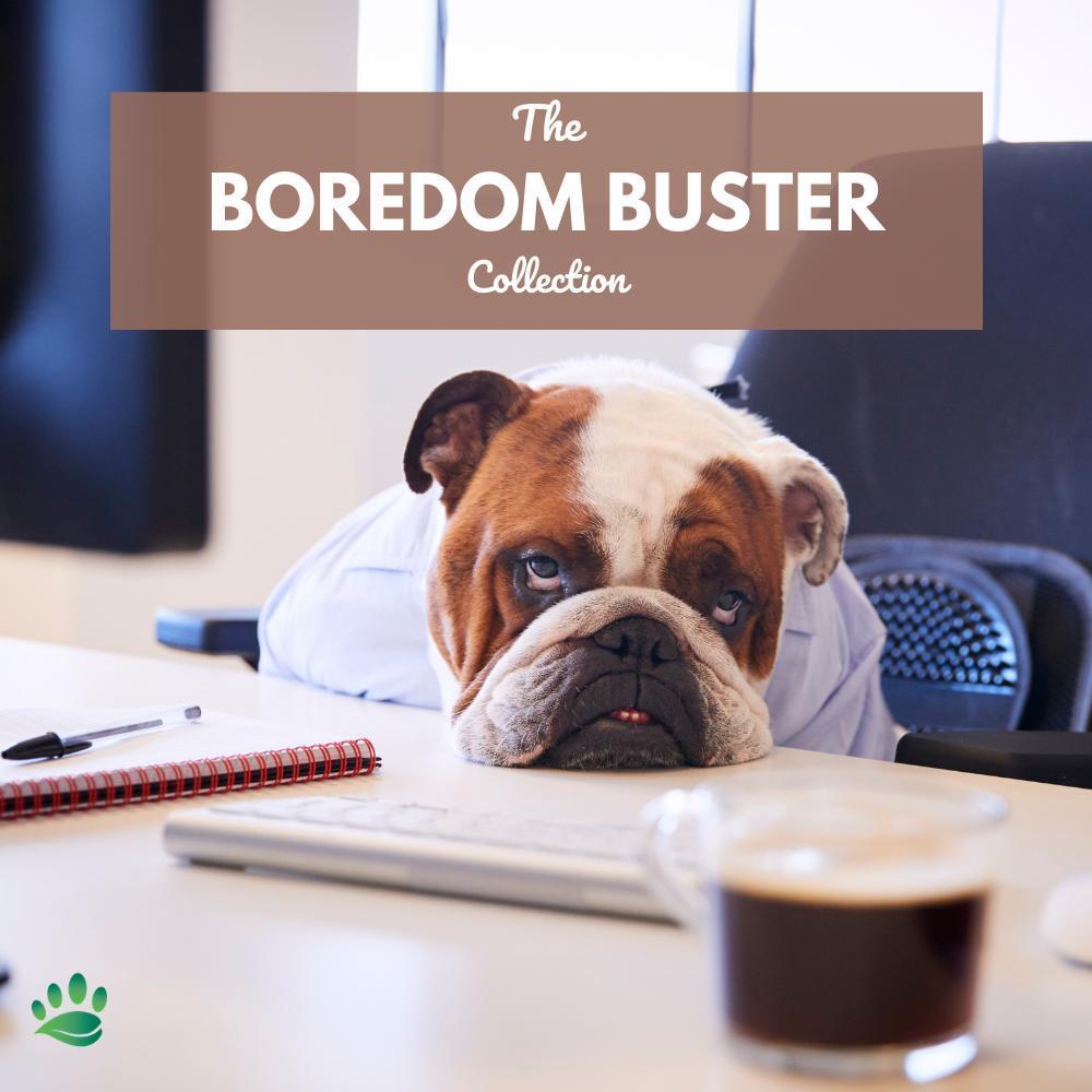 Boredom Busters