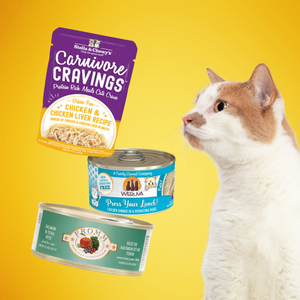 Canned Cat Food
