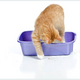 Cat Litter