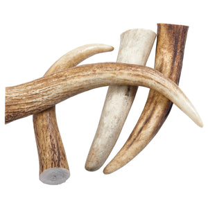 Antlers & Horns