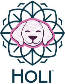 HOLI