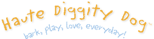 Haute Diggity Dog