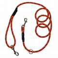 LEASHES