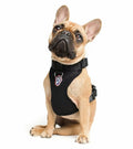 HARNESSES