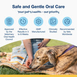 SwedenCare PlaqueOff Dental Care Bone Dog Treat