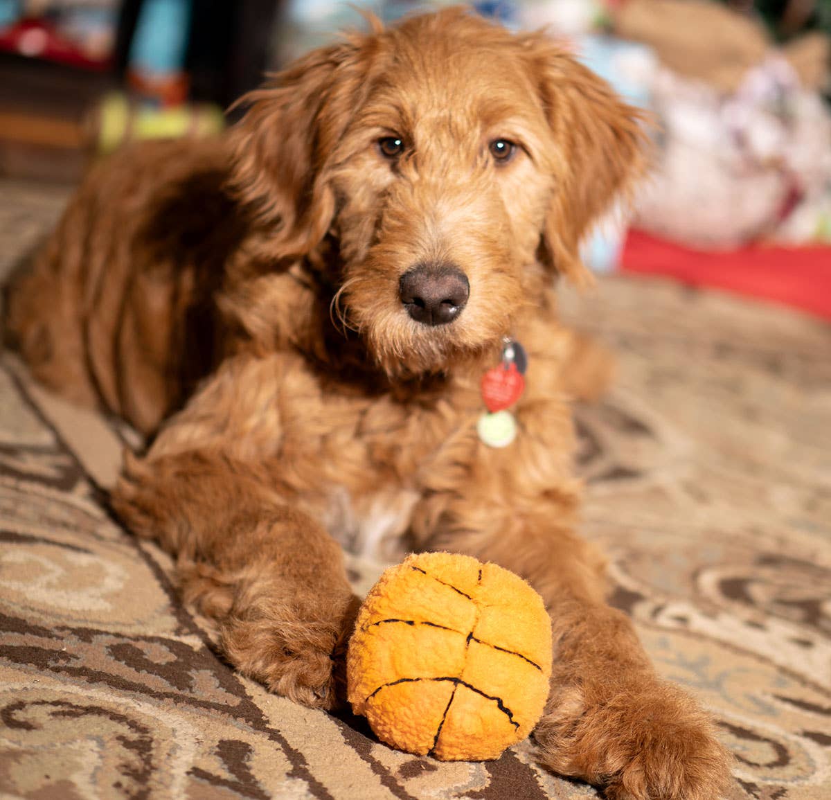 ThoozyPet Basketball Plush Dog Toy 4"