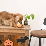 HugSmart Pet Howloween Night Spider Ball Dog Toy