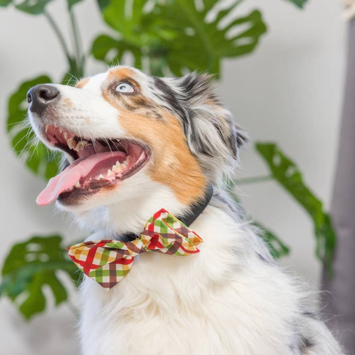 Huxley & Kent Bow Tie in Harvest Check