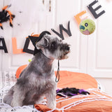HugSmart Pet Howloween Night Zombie Ball Dog Toy