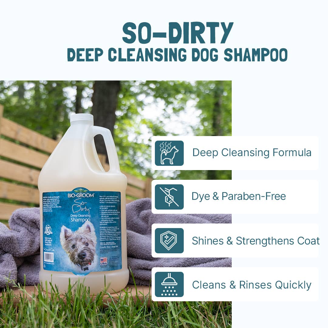 Bio-Groom So-Dirty Shampoo 12oz