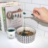 Wholistic Pet Organics Pure Spirulina for Dogs & Cats