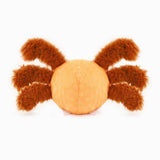 HugSmart Pet Howloween Night Spider Ball Dog Toy