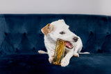 Wag & Bright Supply Co. Mighty Marrows Collagen Beef Liver Dental Chew