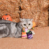 HugSmart Pet Spooky Cats Witch's Brew Cat Toy