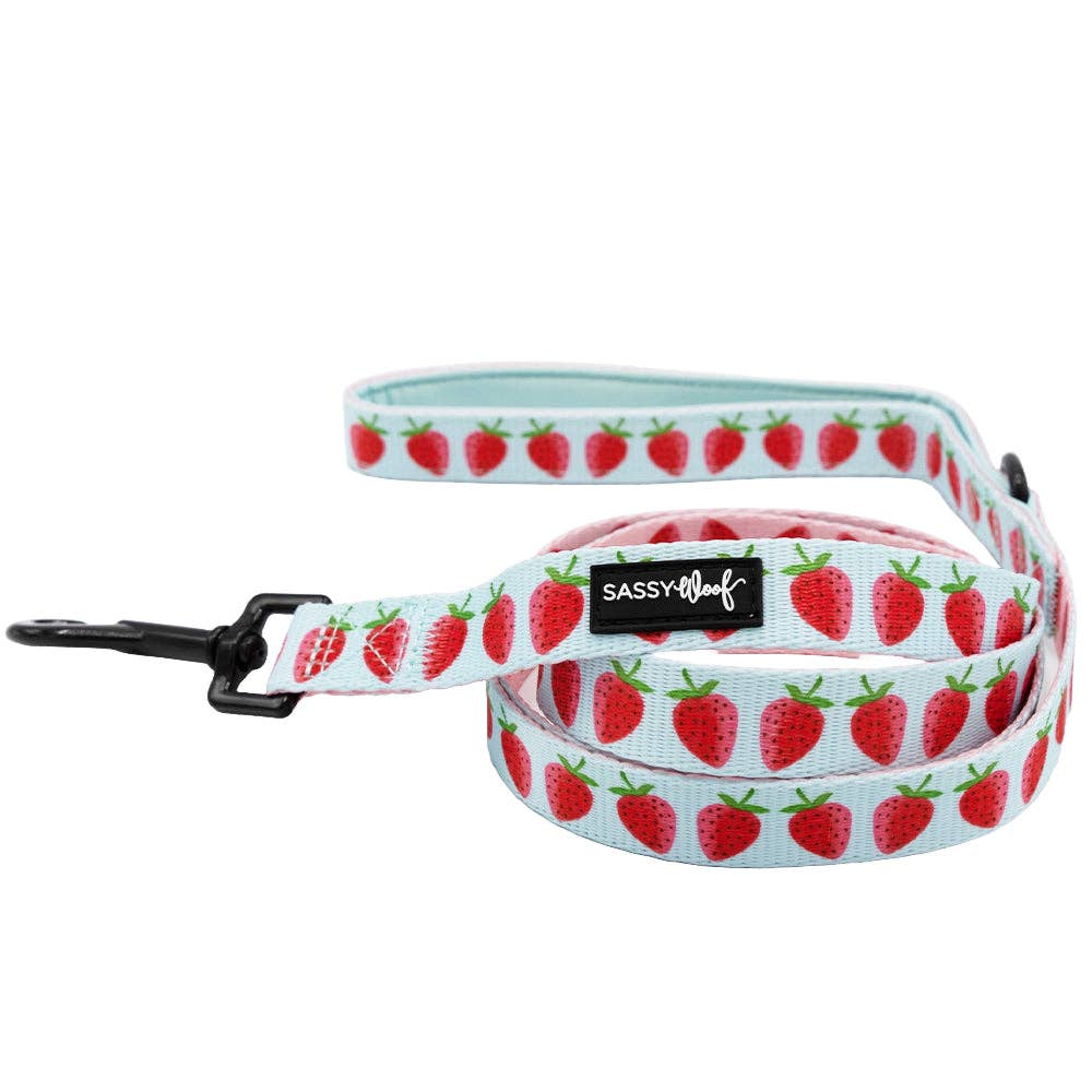 SASSY WOOF I Woof You Berry Much (Fruits) Dog Leash