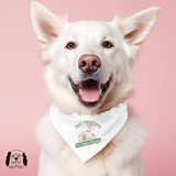 Sparky & Co Vintage Breed Graphic Pet Bandana