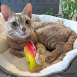 Huxley & Kent Rainbow Guppy Cat Toy