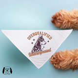 Sparky & Co Vintage Breed Graphic Pet Bandana