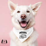 Sparky & Co Regional Graphic Pet Bandana