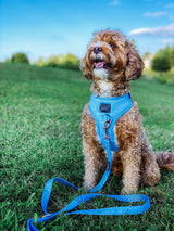 SASSY WOOF Blumond Dog Adjustable Harness