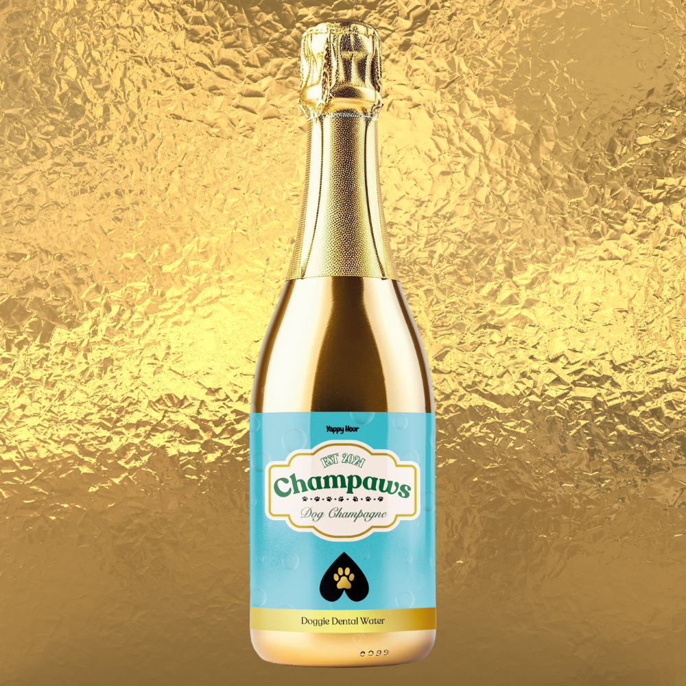 Yappy Hour Champaws Dog Champagne 375ml