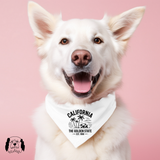 Sparky & Co Regional Graphic Pet Bandana
