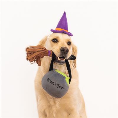 ZippyPaws Halloween Costume Kit Witch Dog Toy