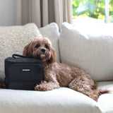 Cleverpup Bistro Box Dog Food Travel Kit